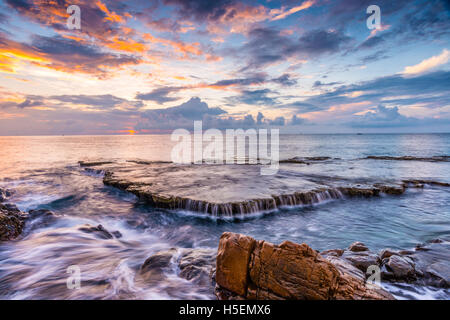 09 ott 2016 - appendere la Rai, Vinh Hy, Ninh Thuan Foto Stock