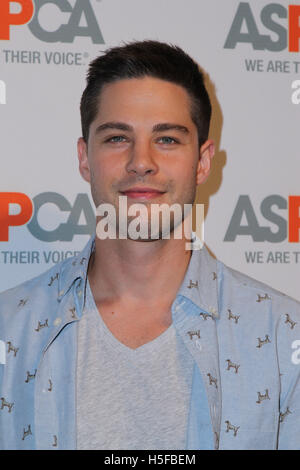 Bel Air, ca. Xx oct, 2016. Dean Geyer assiste ASPCA di Los Angeles vantaggio su ottobre 20, 2016 in Bel Air, California. ( Credito: Parisa Afsahi/Media Punch)./Alamy Live News Foto Stock