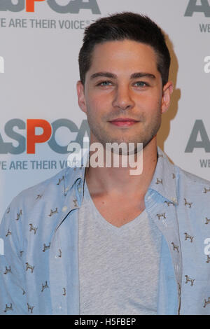 Bel Air, ca. Xx oct, 2016. Dean Geyer assiste ASPCA di Los Angeles vantaggio su ottobre 20, 2016 in Bel Air, California. ( Credito: Parisa Afsahi/Media Punch)./Alamy Live News Foto Stock