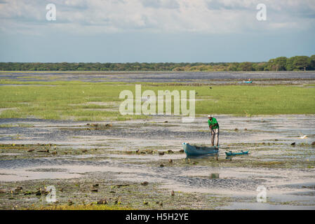 Pescatore sul Giant's serbatoio, serbatoio di irrigazione vicino a Mannar, Sri Lanka Foto Stock