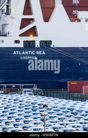 Auto in attesa di essere caricate al molo la nuova Atlantic Container Line (ACL), roll-on roll-off, nave Atlantic Sea arriva a Seaforth dove le gru portuali stanno effettuando il carico e lo scarico al crepuscolo. Liverpool, Merseyside, Regno Unito Foto Stock