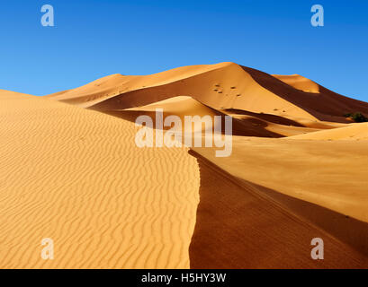 Sahara dune di sabbia di Erg Chebbi, Merzouga Marocco, Africa Foto Stock