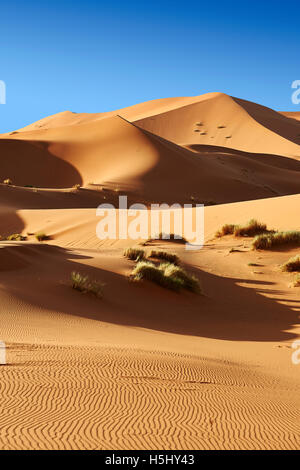 Sahara dune di sabbia di Erg Chebbi, Merzouga Marocco, Africa Foto Stock