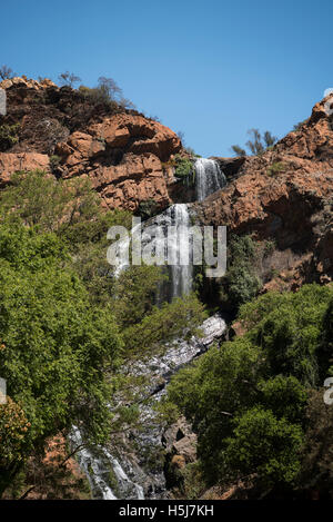 Il Witpoortjie cade a Walter Sisulu Giardino Botanico Nazionale Foto Stock