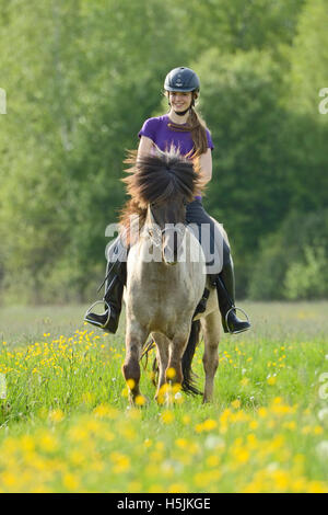 Teen pilota sul retro di un islandese di equitazione in primavera Foto Stock