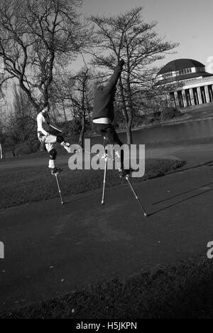 Trampolieri nel parco espositivo Foto Stock