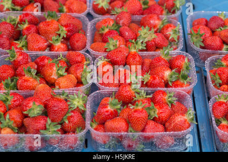 Fragole fresche in contenitori in plastica Foto Stock