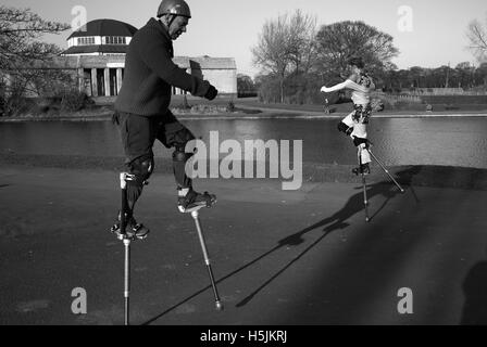 Trampolieri nel parco espositivo Foto Stock