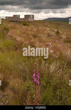 Osservatorio Kielder, Northumberland, Regno Unito Foto Stock