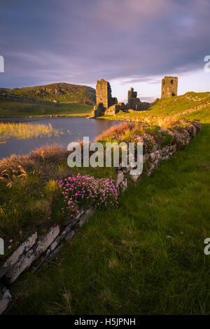 Dunlough Castle - tre castelli West Cork, Irlanda Foto Stock