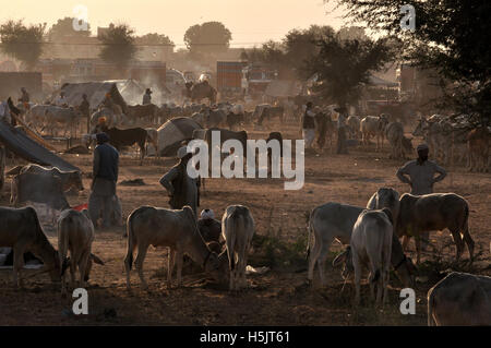Naguar, Rajasthan, India- Febbraio 10, 2011: alcuni contadini con le loro famiglie, cattles e bullcarts al Naguar Fiera del Bestiame Naguar, Rajasthan, India Foto Stock