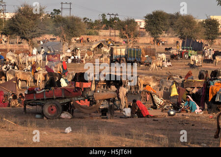 Naguar, Rajasthan, India - Febbraio 10, 2011 : i contadini con le loro famiglie, cattles e bullcart al Naguar fiera del bestiame a Naguar, Rajasthan, India. Foto Stock