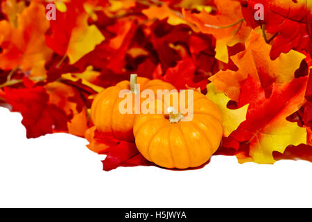 Due mini zucche con finti arancione, rosso e foglie di giallo isolato su bianco Foto Stock