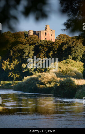 Il castello di Norham bagnata nel tardo pomeriggio di sole, il più pericoloso mettere in Inghilterra al di sopra del fiume Tweed Foto Stock