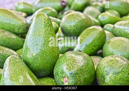 Gli avocadi sulla strada del mercato in stallo. Foto Stock