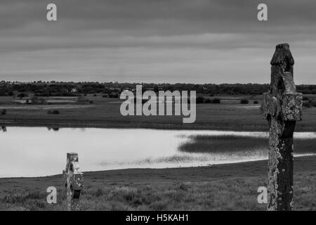 Monastero Clonmacnoise in Irlanda Foto Stock