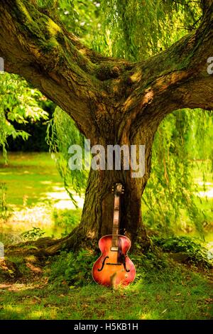 Un rosso e giallo di chitarra hofner appoggiata contro un tronco di albero sotto il salice piangente filiali Foto Stock