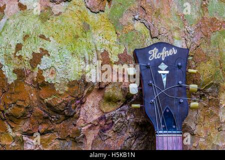 Un rosso e giallo Hofner chitarra acustica appoggiata contro il tronco di un albero in un parco Foto Stock