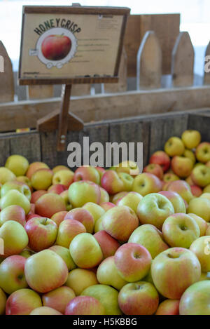 Un cestino di mele per la vendita Foto Stock