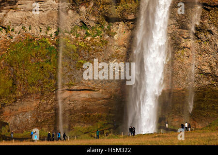 Seljalandsfoss cascata, a sud dell'Islanda, del Nord Atlantico, Europa Foto Stock