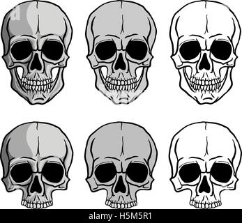 Insieme dei crani Illustrazione Vettoriale