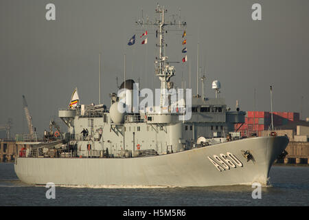 Nave belga Godetia (A960) sul Fiume Tamigi nel 2013 Foto Stock