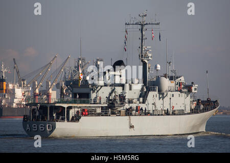 Nave belga Godetia (A960) sul Fiume Tamigi nel 2013 Foto Stock