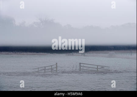 Freezing fog over the River Waveney at Herringfleet, layer of mist over fields and reedbeds, North Suffolk, Suffolk Broads, Foto Stock
