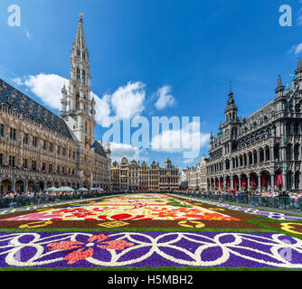 Il 2016 tappeto di fiori nella Grand Place (Grote Markt) con il Municipio a sinistra, Bruxelles, Belgio. Foto Stock