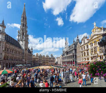 Il 2016 tappeto di fiori nella Grand Place (Grote Markt) con il Municipio a sinistra, Bruxelles, Belgio. Foto Stock