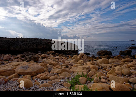 09 ott 2016 - appendere la Rai, Vinh Hy, Ninh Thuan Foto Stock