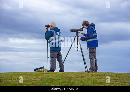 Whale and Dolphin watchers cercando gli animali marini a testa Stoer / Stoerhead, Sutherland, Highlands scozzesi, Scozia Foto Stock