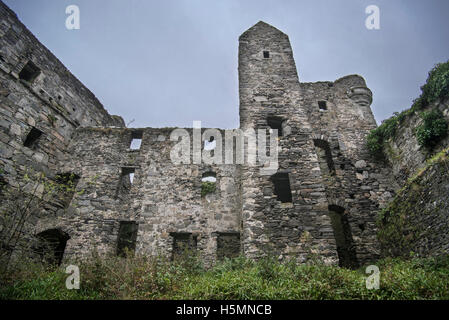 Castello Tioram sull'isola di marea Eilean Tioram in Loch Moidart, Lochaber, Highlands scozzesi, Scozia Foto Stock