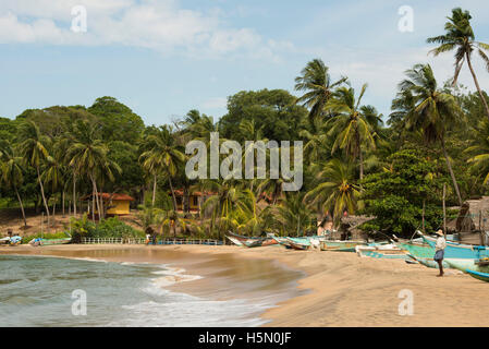 Barche da pesca che giace sulla spiaggia, Arugam Bay, Sri Lanka Foto Stock