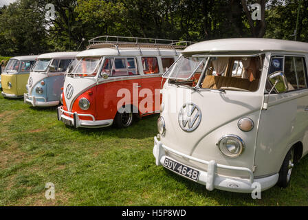 Una linea di split screen VW camper in mostra a Paignton verde con alberi in background Foto Stock