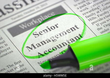 Il Senior Management Accountant voluto. 3D. Foto Stock