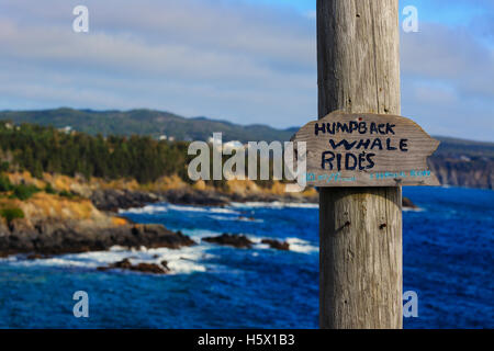 Un segno per un falso ancora divertente Humpback Whale ride tour trovato lungo il robusto costa di Terranova. Foto Stock