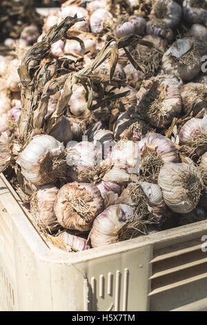 Treccia di aglio secco sul mercato in Francia. Close up Foto Stock