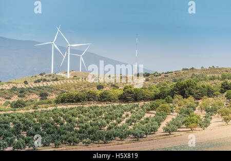 Le turbine eoliche su di un colle e gli ulivi Foto Stock