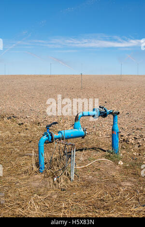 Agricoltura tubi e acqua di rubinetto per impianti di irrigazione Foto Stock