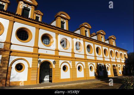 La cosiddetta 'Picadero' (indoor arena), entro il Fundacion Real Escuela Andaluza del Arte Ecuestre di Jerez de la Frontera Foto Stock