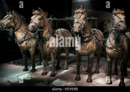 Guerrieri di Terracotta esercito, la buca numero 1, Xian, Shaanxi, Cina, Asia. Un antica collezione di sculture raffiguranti gli eserciti di Qin Foto Stock