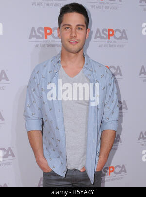 Los Angeles, CA, Stati Uniti d'America. Xx oct, 2016. Dean Geyer. Beneficio ASPCA tenutosi presso una residenza privata. Photo credit: Birdie Thompson/AdMedia Credito: Birdie Thompson/AdMedia/ZUMA filo/Alamy Live News Foto Stock