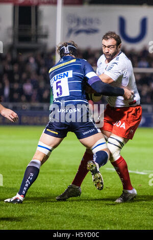 AJ Bell Stadium, Salford, Regno Unito. Xxi oct, 2016. European Champions Cup Rugby. Vendita squali rispetto a Tolone. Tolone il flanker Mamuka Gorgodze viene affrontato mediante la vendita di bloccaggio degli squali Andrei Ostrikov. Credito: Azione Sport Plus/Alamy Live News Foto Stock