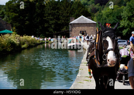 In attesa di cavalli per tirare su chiatta Cromford canal Peak District Derbyshire Inghilterra Foto Stock