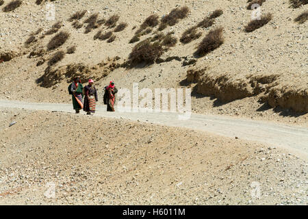Tree pellegrini escursioni, facendo kora intorno al lago Manasarovar. Tibet, Cina. Foto Stock