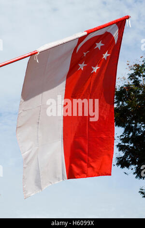 Bandiera di Singapore battenti contro un cielo blu Foto Stock