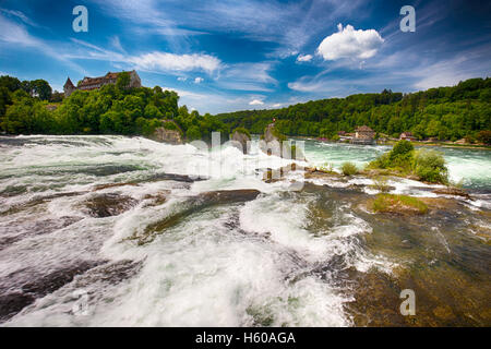 Cascate del Reno, la più grande pianura cascata in Europa vicino Schaffhausen, Svizzera Foto Stock