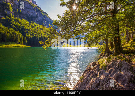 Seealpsee lago con le Alpi Svizzere (Monte Santis), Appenzeller Land, Svizzera Foto Stock