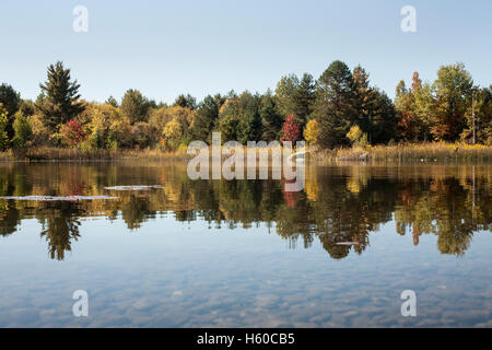 La vista del man-made trota laghetto presso il Centro selvatici in New York Adirondacks a Tupper Lake. Foto Stock